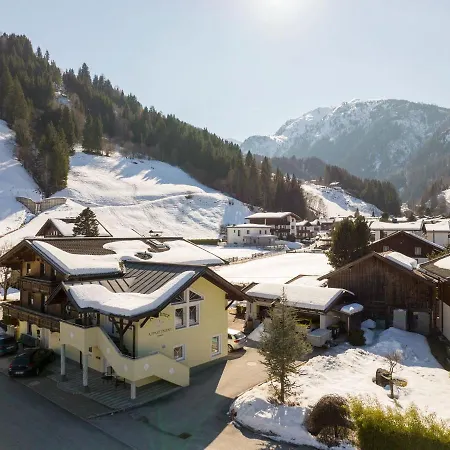 Flat South Of Kitzb Hel With Nationalparkcard Apartment Hollersbach im Pinzgau
