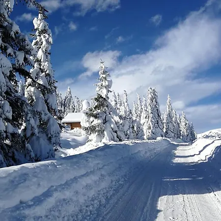 Flat South Of Kitzb Hel With Nationalparkcard Apartment
