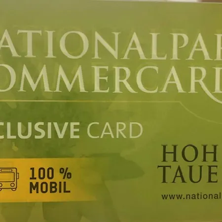 Flat South Of Kitzb Hel With Nationalparkcard Hollersbach im Pinzgau
