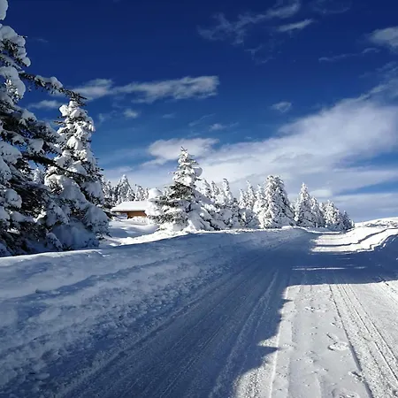 In Hollersbach Near Lift Apartment *