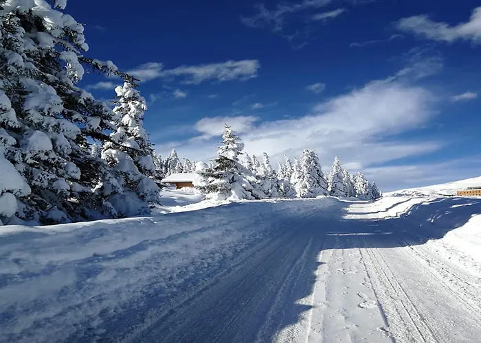 In Hollersbach Near Lift Appartement *