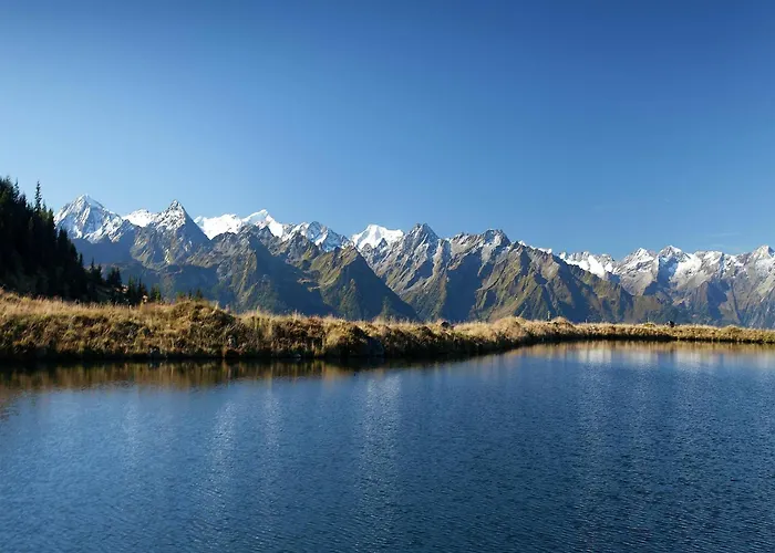 In Hollersbach Near Lift *